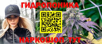 гашик Пенза