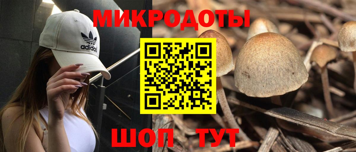 Галлюциногенные грибы мицелий Пыть-Ях